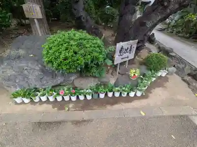 養源寺(東京都)