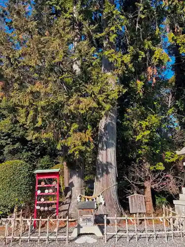 矢奈比賣神社（見付天神）の末社