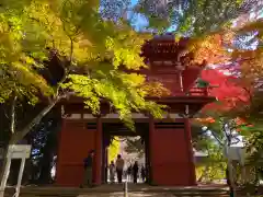 本土寺(千葉県)