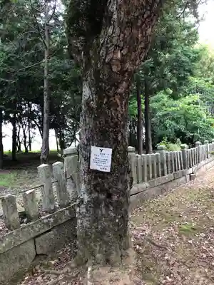 佐保神社の自然