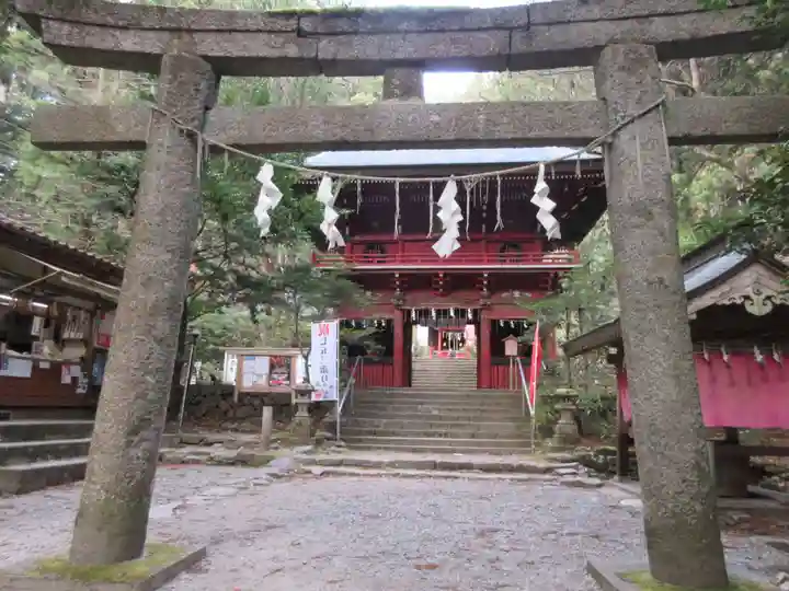 花園神社の鳥居