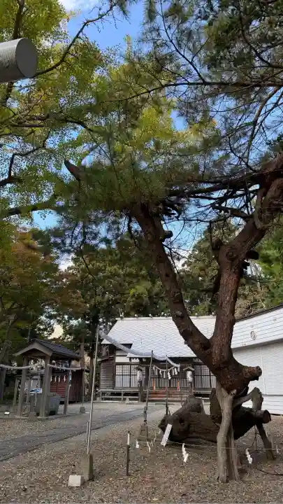有川大神宮(北海道)