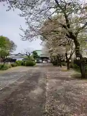 常在寺(神奈川県)