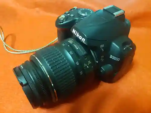 馬頭院(栃木県)