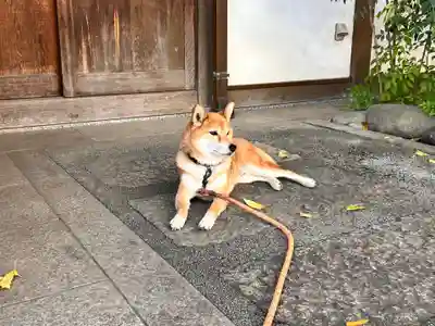感通寺(東京都)