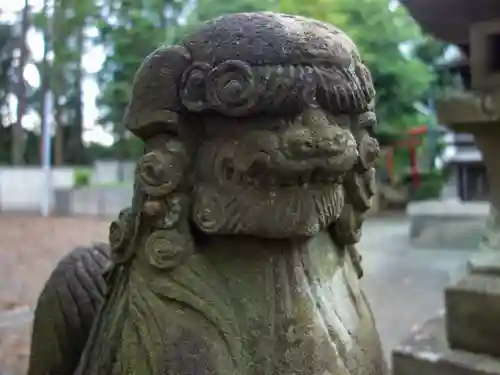 南大谷天神社の狛犬