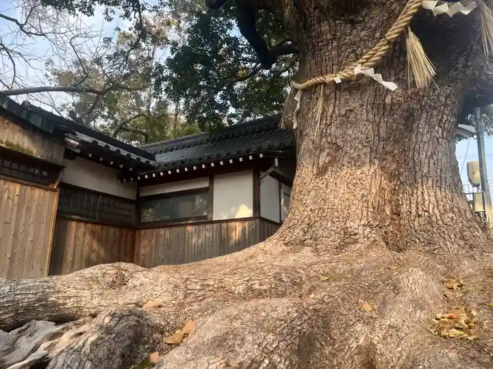 阿保神社(大阪府)