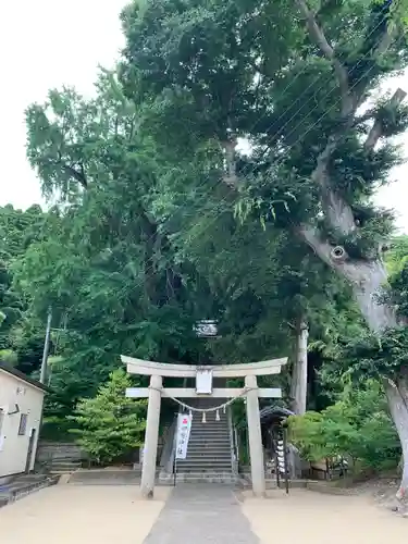 田間神社の鳥居