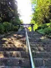 須賀神社の建物その他