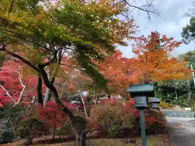 根来寺(和歌山県)