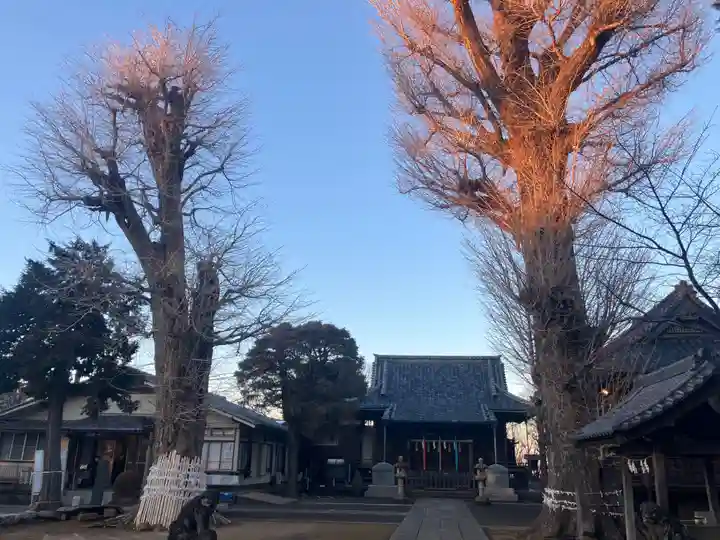 諏訪神社(東京都)