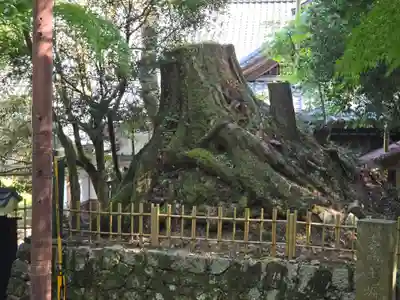 玉照院(延暦寺塔頭)(滋賀県)