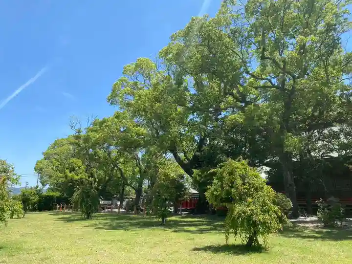 美奈宜神社(福岡県)