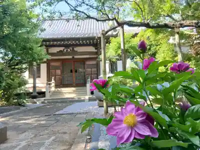 宝珠院の{uncategorized: "未分類", other: "その他", undefined: "問題あり", building: "その他建物", grave: "お墓", sacred_gate: "鳥居", guardian: "狛犬", statue: "像", buddha: "仏像", history: "歴史", nature: "自然", garden: "庭園", animal: "動物", pagoda: "塔", temizu: "手水舎", mountain_gate: "山門・神門", sanctuary: "本殿・本堂", subordinate: "末社・摂社", art: "芸術", scenery: "景色", jizo: "地蔵", ema: "絵馬", goshuin: "御朱印", omikuji: "おみくじ", items: "授与品その他", amulet: "お守り", goshuincho: "御朱印帳", eats: "食事", festival: "お祭り", votive_dance: "神楽", shichigosan: "七五三参", wedding: "結婚式", experience: "体験その他", initially: "初詣", around: "周辺", anti_infection: "感染症対策"}
