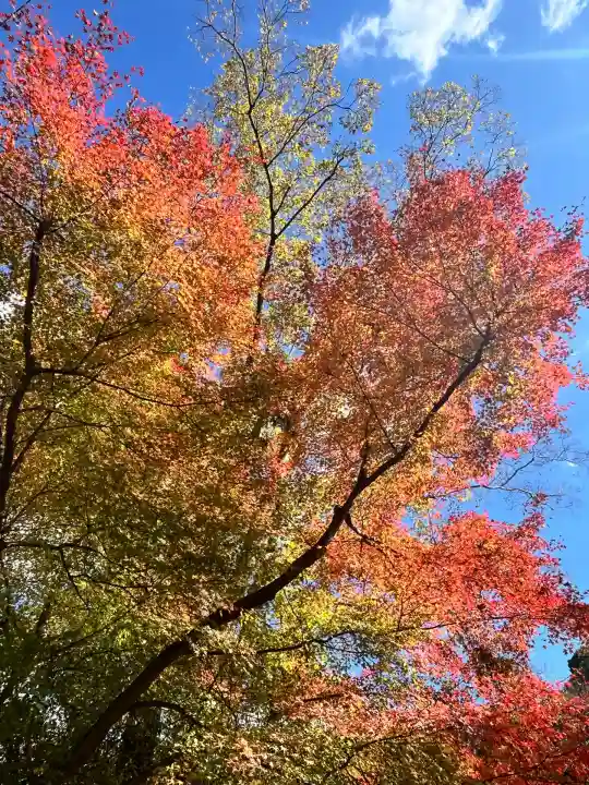 神峯山寺(大阪府)
