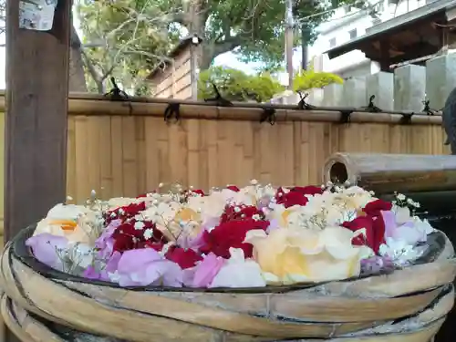 野見神社(大阪府)