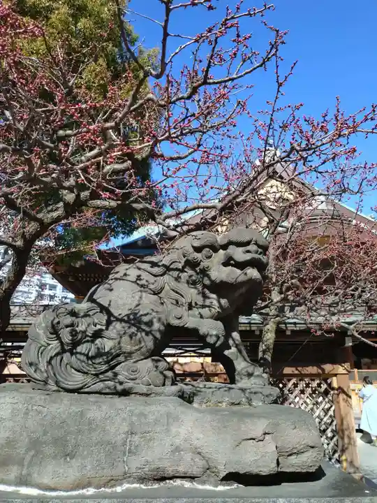 湯島天満宮(東京都)