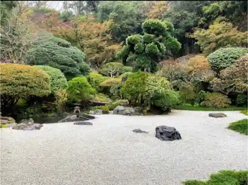 報国寺の庭園