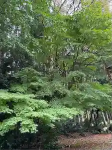 青龍寺(新潟県)