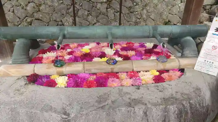 岡寺(龍蓋寺)(奈良県)