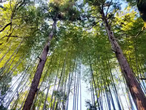 石鎚神社 口之宮 本社(愛媛県)