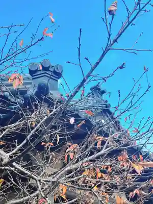 大田井山 極楽寺の自然