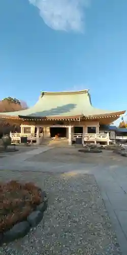 豪徳寺の本殿・本堂