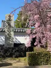 妙顯寺（妙顕寺）(京都府)