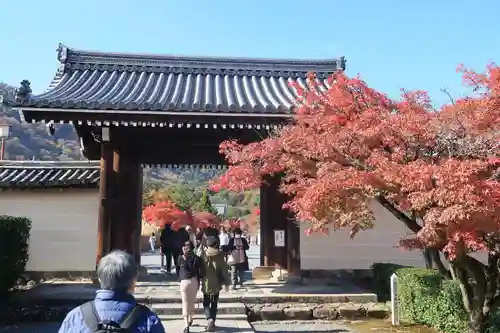 天龍寺の山門・神門