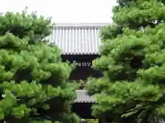 建仁寺（建仁禅寺）の山門