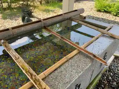 福井県護国神社の手水舎
