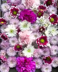 根岸八幡神社の手水舎(2024年03月14日(木) 16時06分21秒投稿)