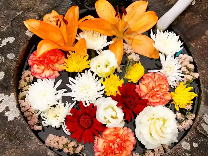 真言宗 善通寺派 薬王寺(香川県)