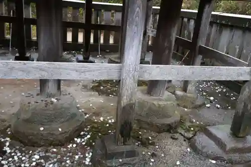 白兎神社(鳥取県)