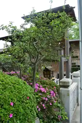 伊勢山皇大神宮(神奈川県)