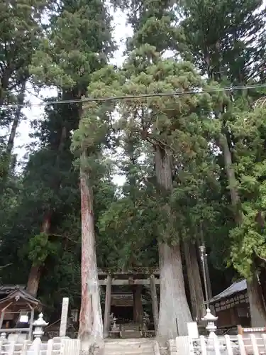 室生龍穴神社の自然