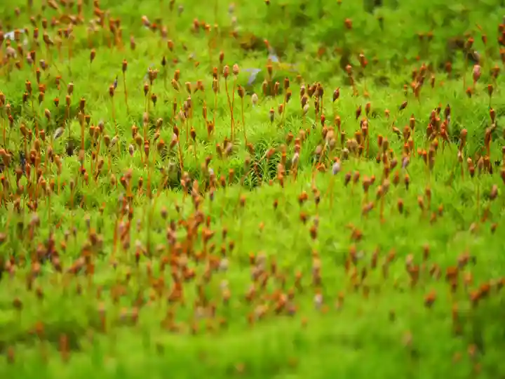 長壽寺(長寿寺)(神奈川県)
