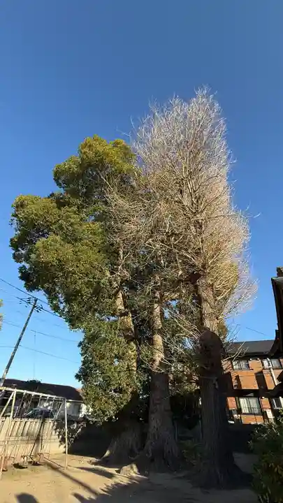 八坂神社(徳島県)