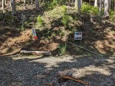 金櫻神社(山梨県)