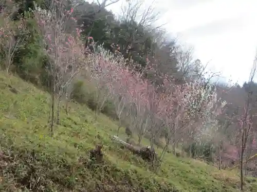 聖神社(埼玉県)