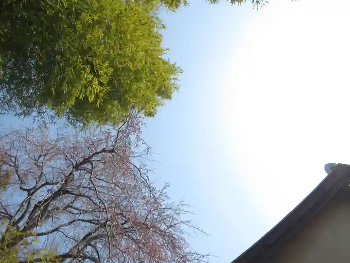 真光寺(千葉県)