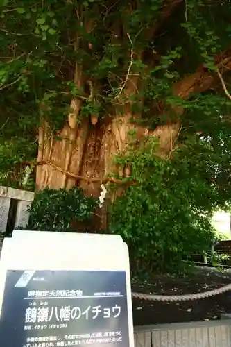 鶴嶺八幡宮(神奈川県)