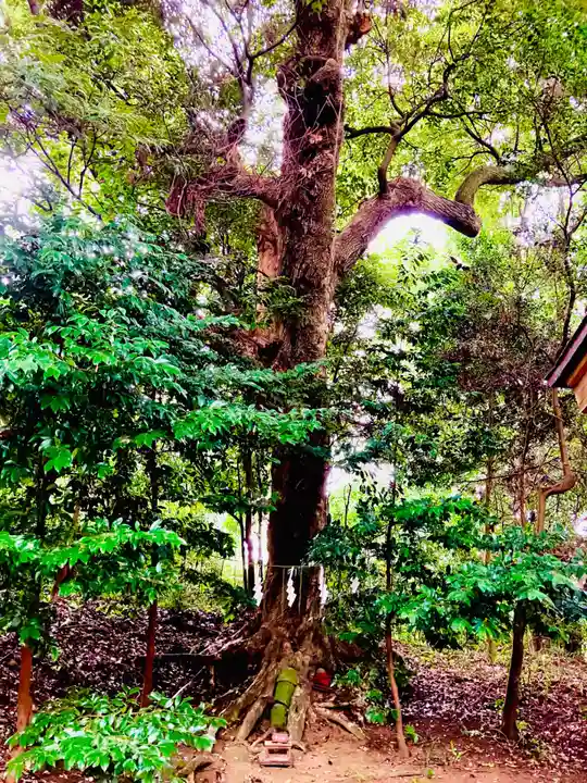 成田熊野神社(千葉県)