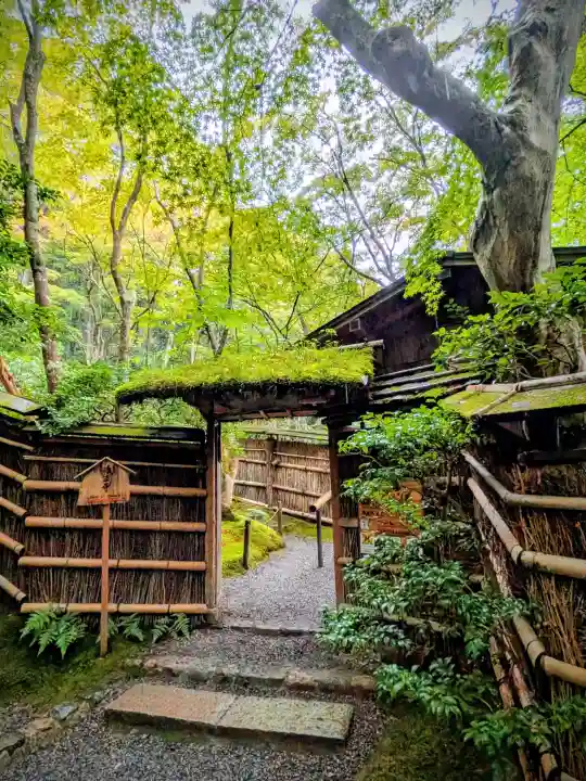 祇王寺の{uncategorized: "未分類", other: "その他", undefined: "問題あり", building: "その他建物", grave: "お墓", sacred_gate: "鳥居", guardian: "狛犬", statue: "像", buddha: "仏像", history: "歴史", nature: "自然", garden: "庭園", animal: "動物", pagoda: "塔", temizu: "手水舎", mountain_gate: "山門・神門", sanctuary: "本殿・本堂", subordinate: "末社・摂社", art: "芸術", scenery: "景色", jizo: "地蔵", ema: "絵馬", goshuin: "御朱印", omikuji: "おみくじ", items: "授与品その他", amulet: "お守り", goshuincho: "御朱印帳", eats: "食事", festival: "お祭り", votive_dance: "神楽", shichigosan: "七五三参", wedding: "結婚式", experience: "体験その他", initially: "初詣", around: "周辺", anti_infection: "感染症対策"}