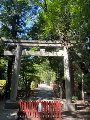 岩槻久伊豆神社(埼玉県)