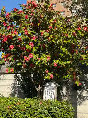 八幡社(大秋八幡社)(愛知県)