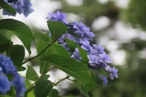 高屋敷稲荷神社の庭園