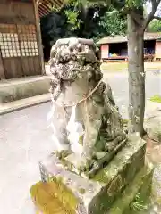 妻山神社の狛犬