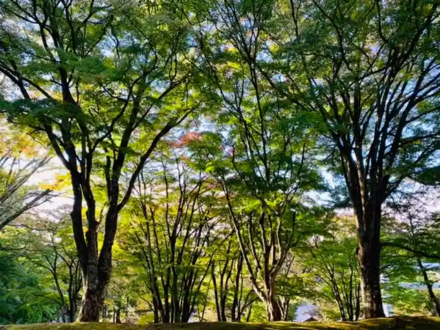 土津神社|こどもと出世の神さまの自然