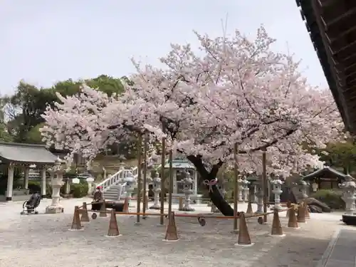 伊和志津神社のその他建物